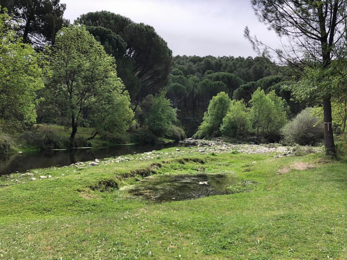 Casa De Vacaciones El Naranjo Piedralaves Eksteriør billede